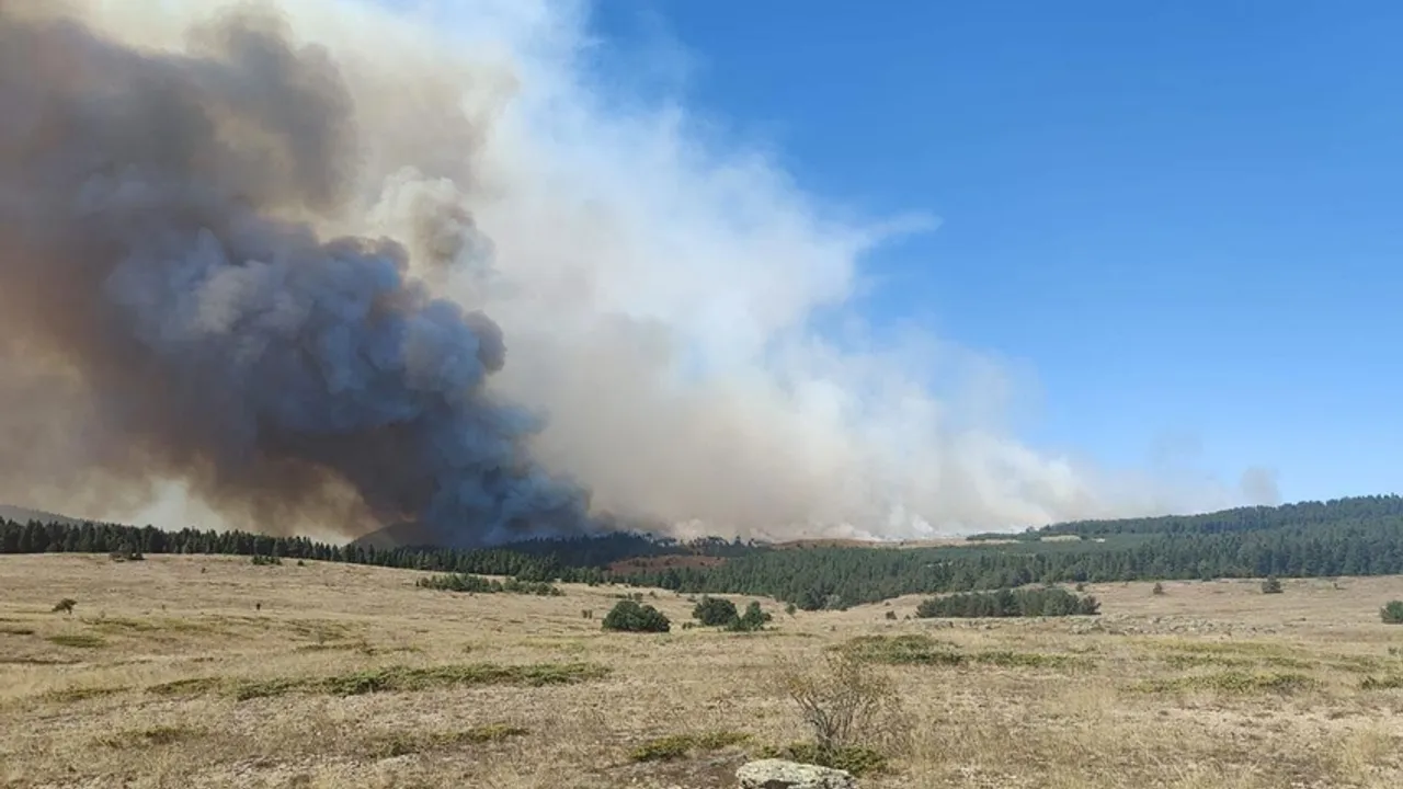 Ankara'da orman yangını