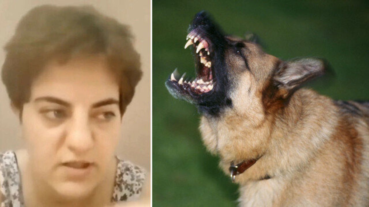 "Türkiye'de başıboş köpek değil başıboş çocuk sorunu var" diyen kadın gözaltına alındı