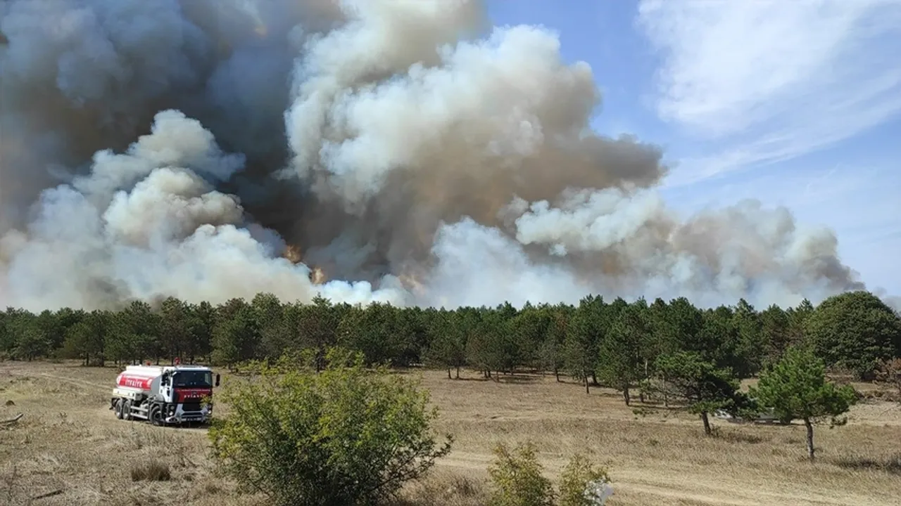 İzmir'de orman yangını çıktı: Rüzgarın etkisiyle büyüyen yangın kontrol altına alınmaya çalışılıyor
