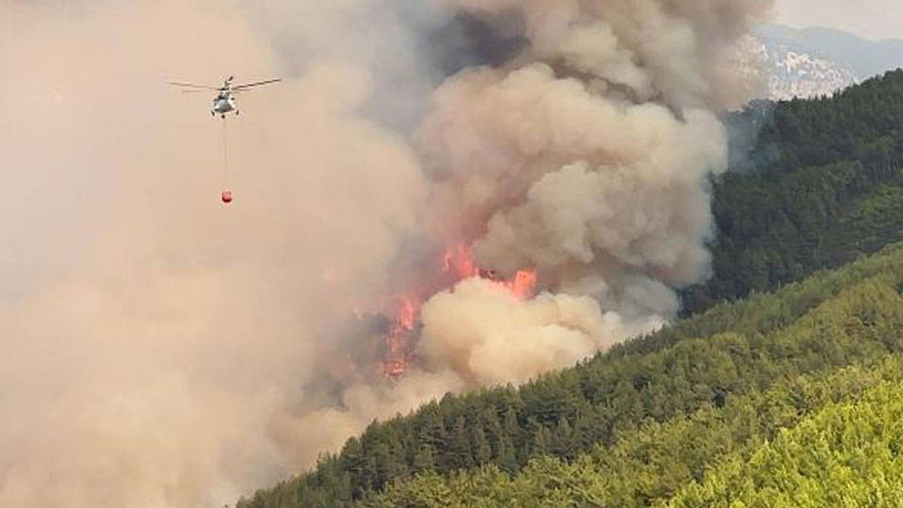 Antalya'da orman yangını: Bölgedeki evler tahliye edildi