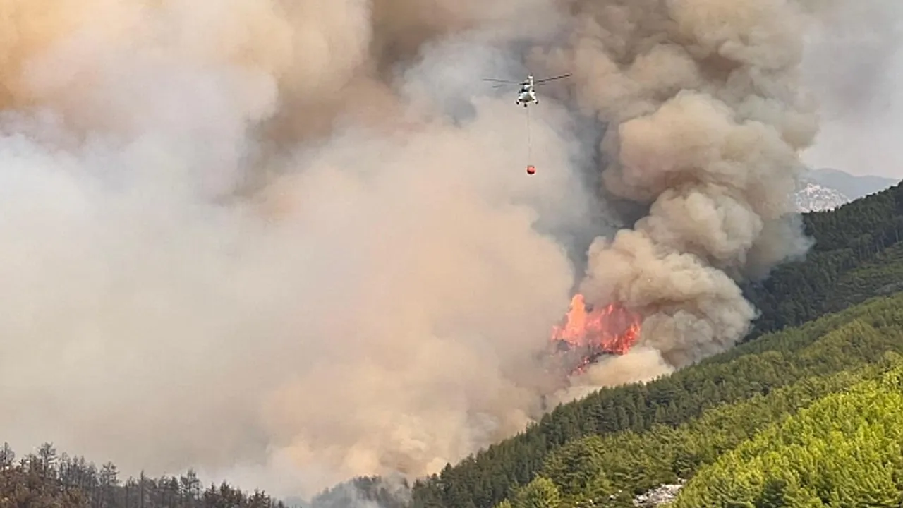 Alanya'daki orman yangınında 13 ev tahliye edildi