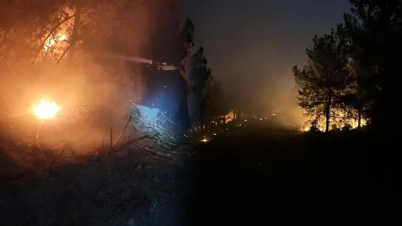 İzmir'de orman yangını... Havadan ve karadan müdahale başladı