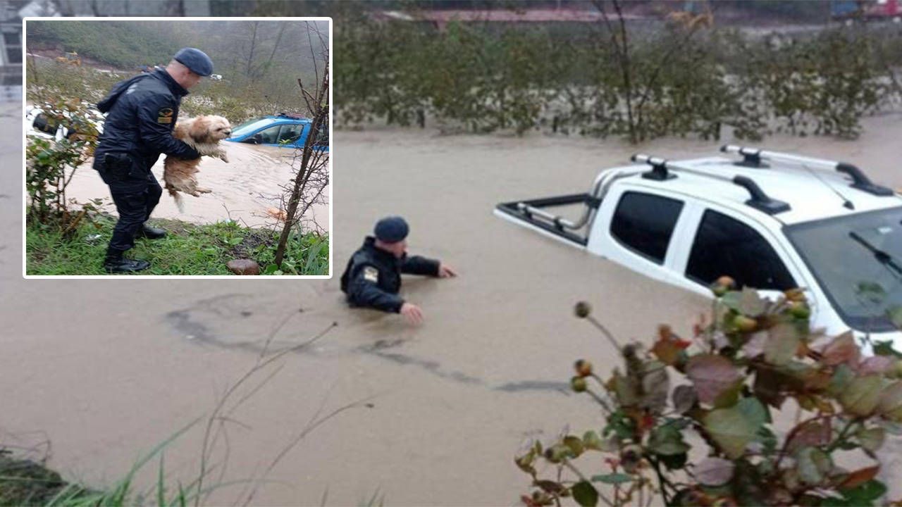Zonguldak'ta selin ortasında araçta mahsur kalan 4 kişi ve 2 köpek kurtarıldı