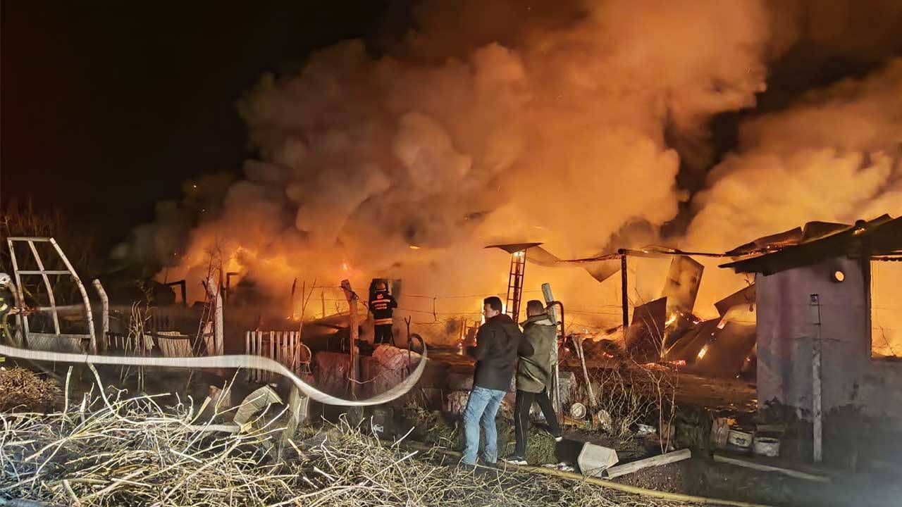 Ağılda başlayan yangın eve sıçradı: 63 küçükbaş hayvan öldü