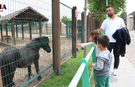 Kayseri'de Yağışa Rağmen Hayvanat Bahçesinde Rekor Kırıldı