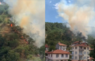 Kastamonu'da Orman Yangını: Alevler 40 Dönüm Araziyi Kül Etti