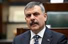 Türkiye Genelinde Sokak Hayvanlarını Toplama Süreci Tamamlandı
