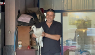 Karabük'te Bitkin Düşen Leylek Koruma Altına Alındı
