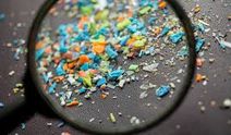 Bilim İnsanları: Mikroplastik Beyne Önemli Ölçüde Zarar Veriyor