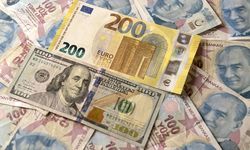 Döviz kurlarında son durum: Euro ve dolar, tarihi yüksek seviyede!