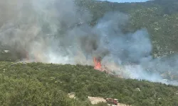 Antalya'nın Kaş ilçesinde çıkan yangına havadan ve karadan müdahale