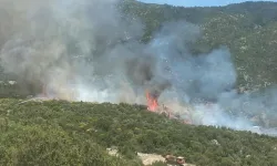 Antalya Kaş'ta Orman Yangını Kontrol Altına Alındı