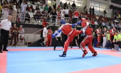 Türkiye Kick Boks Şampiyonası Mardin'de sona erdi