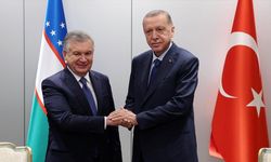 Cumhurbaşkanı Erdoğan, Özbekistan Cumhurbaşkanı Şevket Mirziyoyev ile görüştü