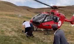 Arı sokması sonucu fenalaşan kadın, ambulans helikopterle hastaneye ulaştırıldı