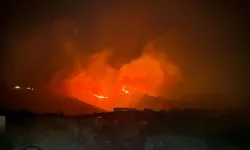 Marmara Adası'nda yangın meydana geldi