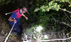 Sinop'ta ormanda mahsur kalan kişinin imdadına itfaiye koştu