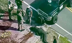 ABD'de 4 metrelik timsahın ağzında cansız beden bulundu