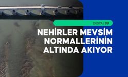 Aşırı sıcaklar ve kuraklık Trakya'daki nehirleri olumsuz etkiliyor