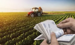 Çiftçilere müjde: O tarihte hesapları kontrol edin