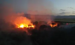 Gaziantep Nurdağı'ndaki orman yangını kontrol altında