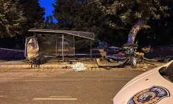Ağaca çarpıp ikiye bölünen otomobilin sürücüsü öldü