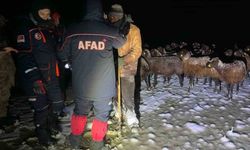 Ağrı'da mahsur kalan 3 çoban ve 3 bin koyun kurtarıldı