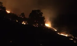 Balıkesir'de orman yangını söndürüldü