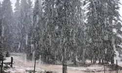 Bartın ve Zonguldak'ta mevsimin ilk kar yağışı başladı