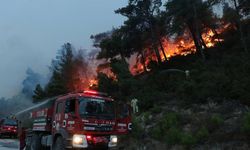 Çanakkale’deki orman yangını devam ediyor