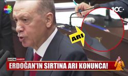 VİDEO HABER / Cumhurbaşkanı Erdoğan'ın sırtına arı kondu koruma böyle müdahale etti