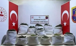 Diyarbakır'da 312 kilo esrar ve bin 706 kök kenevir ele geçirildi