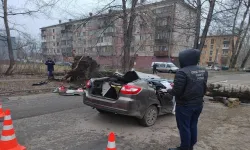 Fırtına nedeniyle devrilen ağaç otomobile devrildi, 2 kişi hayatını kaybetti