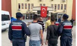 Kaçak kazı yapan 3 kişiyi jandarma suçüstü yaptı