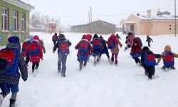 İki ilde, bazı ilçe ve köylerde okullar tatil edildi