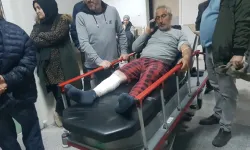 Karabük’te sürüsünü otlatan 2 kişi ayı saldırısı sebebiyle yaralandı