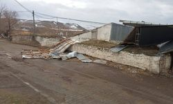 Kars'ta yüksek gerilim hattı koptu: 8 koyun öldü