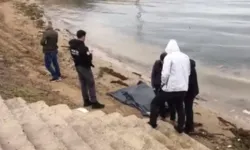 Kocaeli'de sahilde ceset bulundu! Kimliği belli oldu