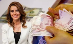 Seçil Erzan davasında flaş gizli tanık ifadesi: "Paraların o ülkeye götürdü"