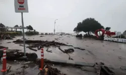 Şile'de dere taştı, işletmeleri su bastı