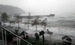 Zonguldak olumsuz hava şartları sebebiyle yük gemisi karaya oturdu