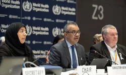 DSÖ: Gazze'ye "Acil, sürekli ve engelsiz insani yardım geçişi" karar tasarısını oy birliğiyle kabul etti