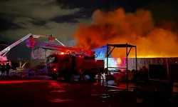 Eskişehir'de geri dönüşüm tesisinde korkutan yangın