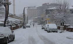 Bingöl'de kar ve tipi: 10 köy yolu ulaşıma kapandı