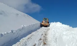 Erzurum’da kar ve tipi etkili oluyor