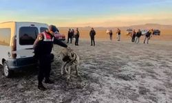 Kayseri'de köpek dövüşü yaptıran 2 organizatör ve 35 kişi yakalandı