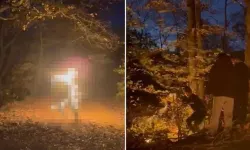 VİDEO HABER / Sarıyer’de ormanda kan donduran olay kamerada: Alev alev yanarak öldü