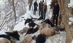 Ağıl'da çıkan yangında 40 keçi telef oldu