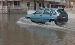 Balıkesir’de sel suları plajları çöplüğe çevirdi