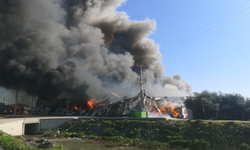 Mersin'de narenciye paketleme fabrikasında yangın